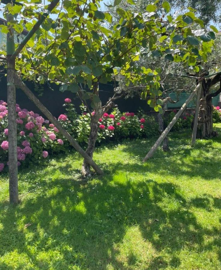 Verde House 2 Riva del Garda Dış mekan fotoğraf